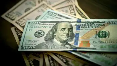 Dolar Kuru 20 Kasım 2024: Güncel Değerlendirme