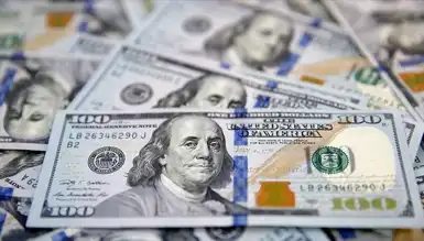 Dolar Kuru 29 Kasım 2024