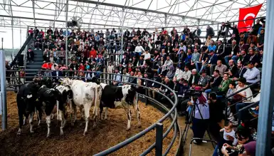 Genç ve Kadın Üreticilere Hayvancılık Desteği!