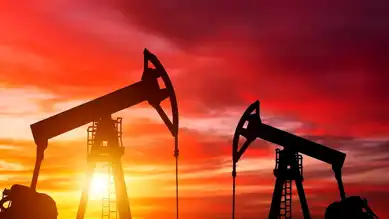 Yerli Petrol ve Doğal Gaz Üretimi Arttı