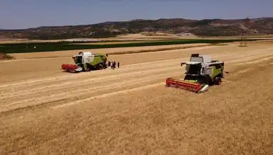 TMO'dan Hayvan Yemi Satışı: Arpa ve Yulaf Desteği
