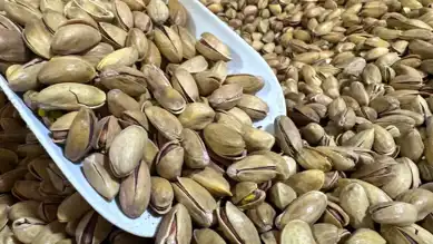 Türkiye'den 59 Milyon Dolarlık Fıstık İhracatı