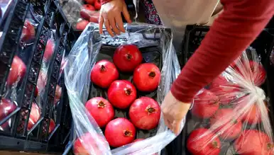 Antalya, Türkiye'nin Nar Üretiminde Zirvede!
