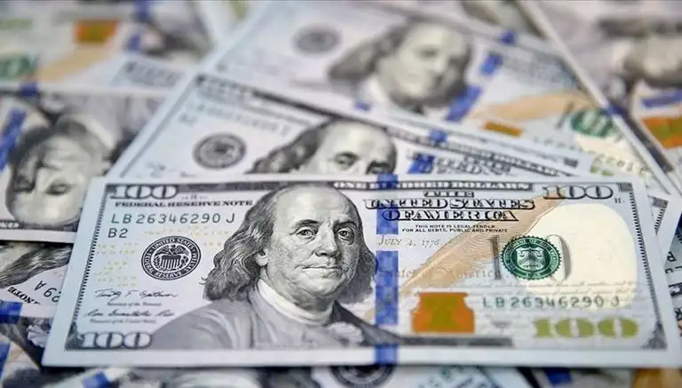 Dolar Kuru 29 Kasım 2024