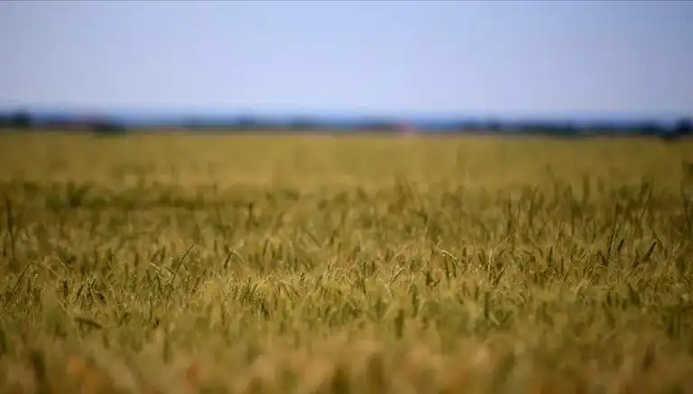 Tarım Girdi Maliyetleri Patladı!